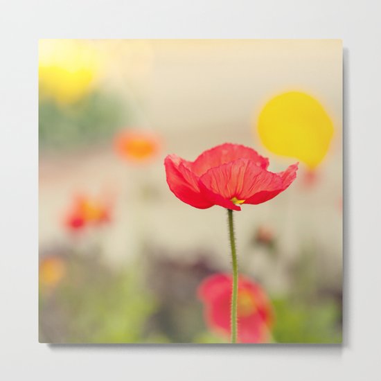 Imagine Metal Print