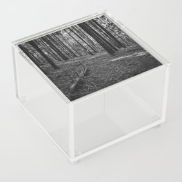 Black and white forest Acrylic Box