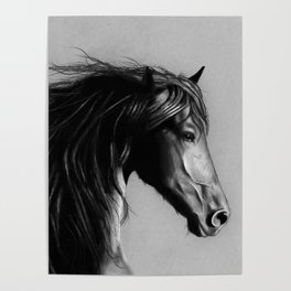 A Beautiful Friesian Black Horse - Pencil Drawing Poster