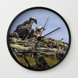 Osprey Parenting 101 Wall Clock