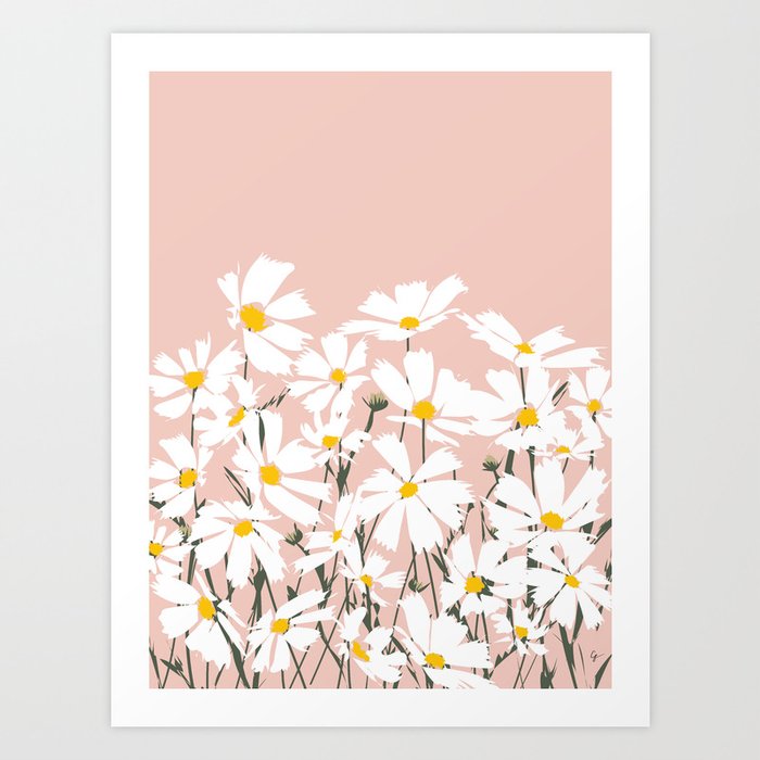 Les Fleurs de Paris - White Cosmos Flowers on Pink Art Print