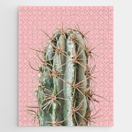 Boho Mint Green and Pink Succulent Cactus Jigsaw Puzzle