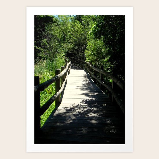 Follow Me Art Print