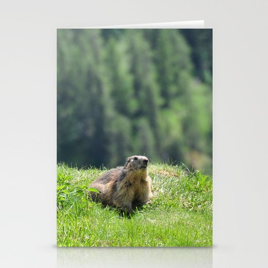 The Sentinel Stationery Cards