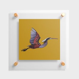 Agami heron gold Floating Acrylic Print
