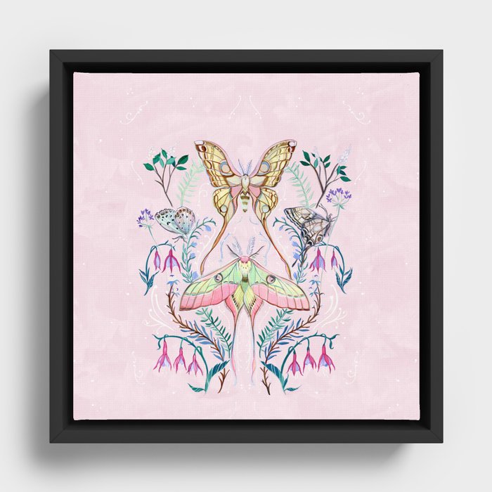 Framed Canvas