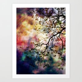the Tree of Many Colors Art Print