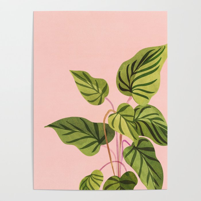 Upstart Pink and Green Houseplant Poster