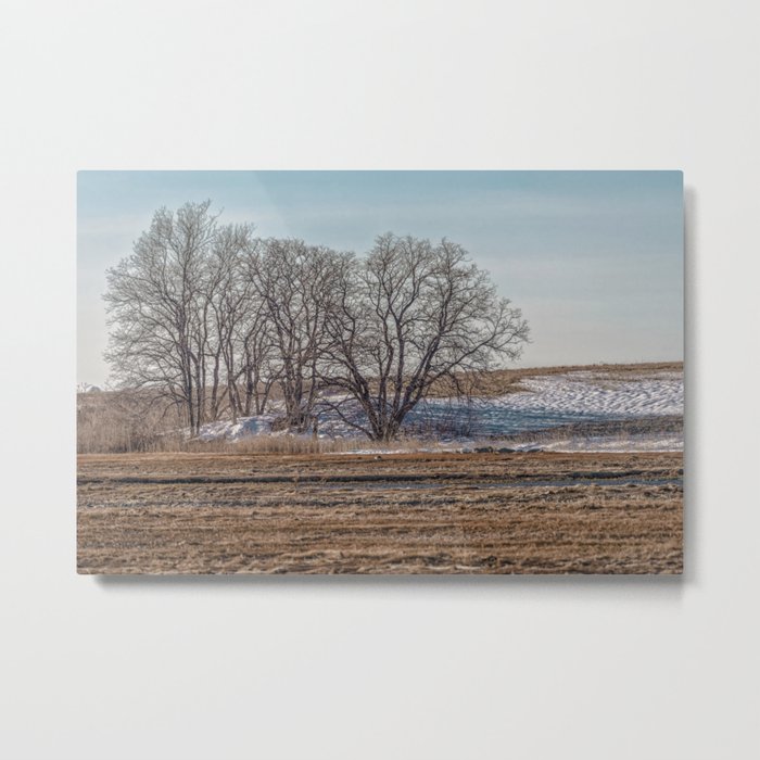 Winter Marsh Landscape Metal Print