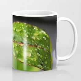 leaf, drop, mildew, twig Coffee Mug