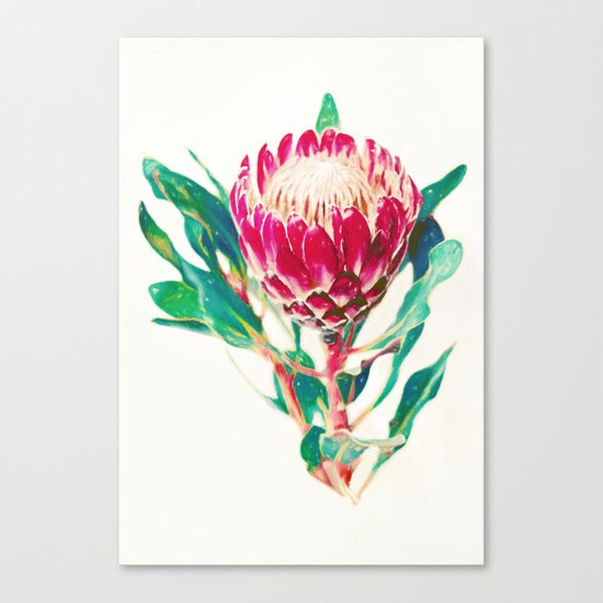 Vintage Protea Canvas Print