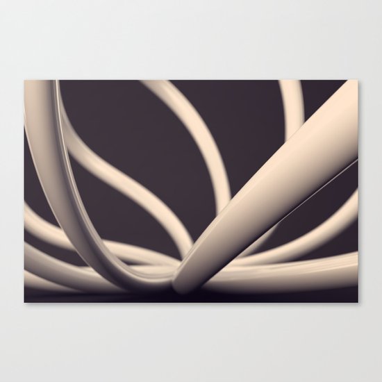 XY2 Canvas Print