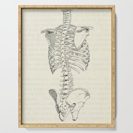 Vintage Anatomy Bones of the Trunk Serving Tray