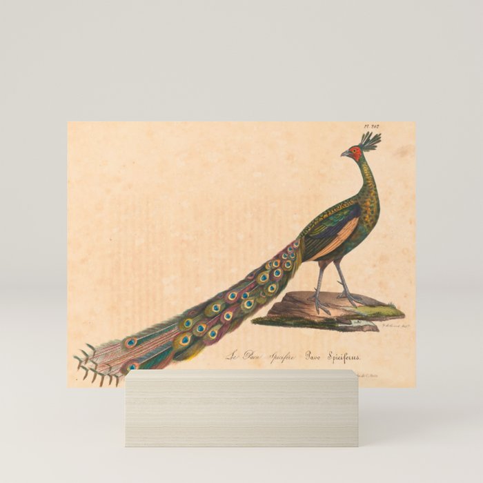 Mini Art Print