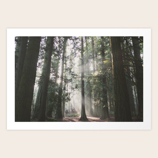 Fog Art Print