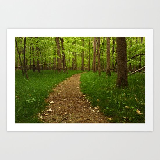 Walk in the Woods II Art Print