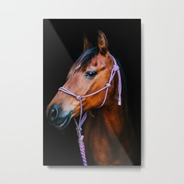 Abbath - portrait of a horse Metal Print