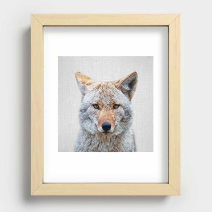 Coyote - Colorful Recessed Framed Print