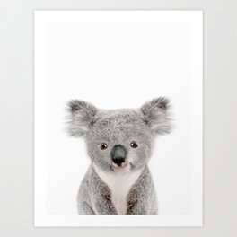 Koala Art Prints For Any Decor Style Society6