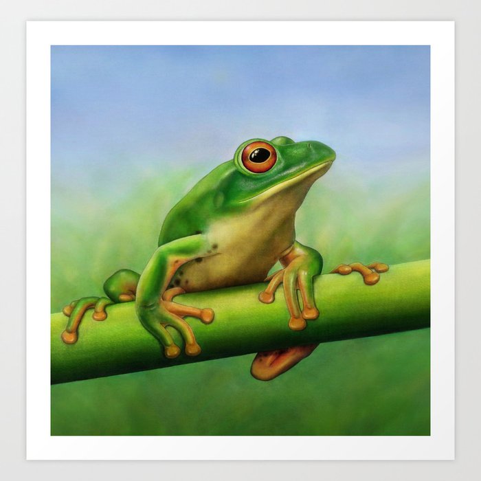 Moltrecht's Green Treefrog Art Print