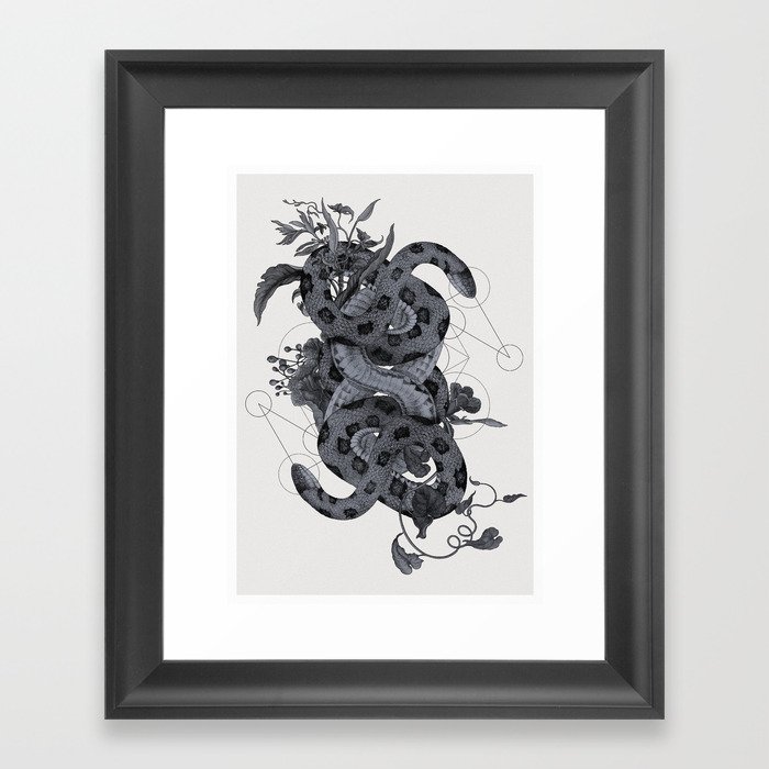The Panoply Plate 07 Framed Art Print