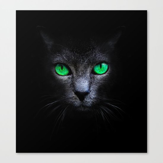 Black Cat Canvas Print