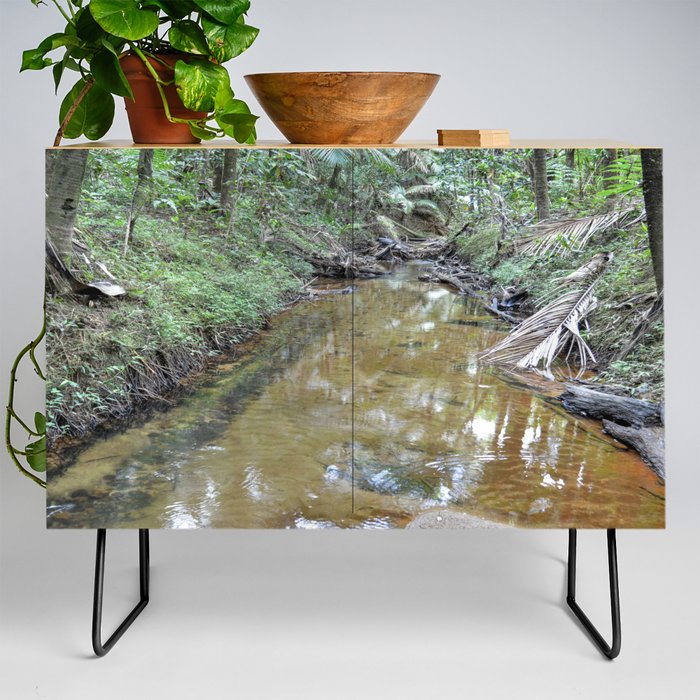 The Holy Spirit deep-forest river explorations in El Yunque rainforest PR Credenza