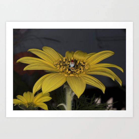 Gnome Flower Harvest Art Print
