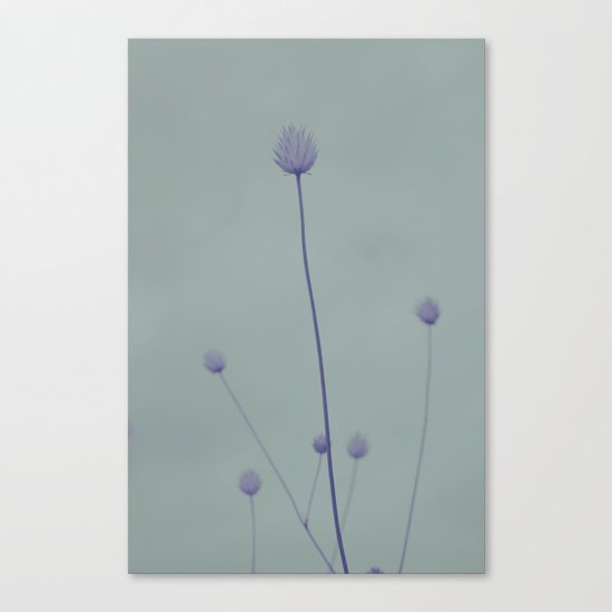 Simplicity 2 Canvas Print