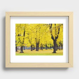 Autumn Recessed Framed Print