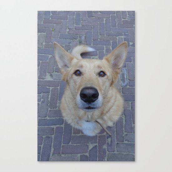 Treat? Canvas Print
