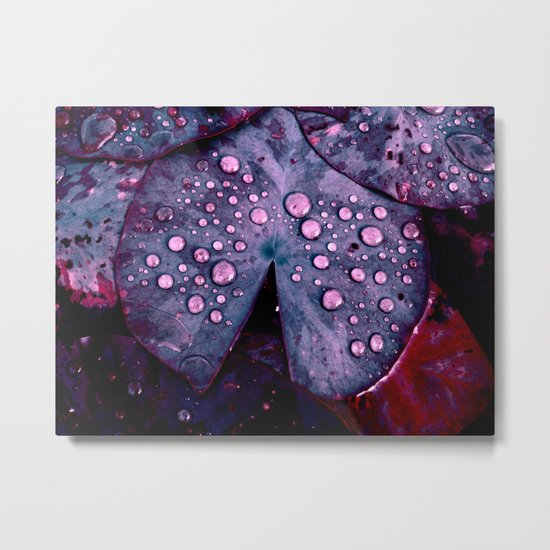 lily pads XVII Metal Print