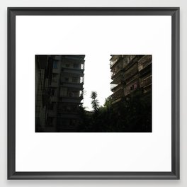 Tree in the city Framed Art Print