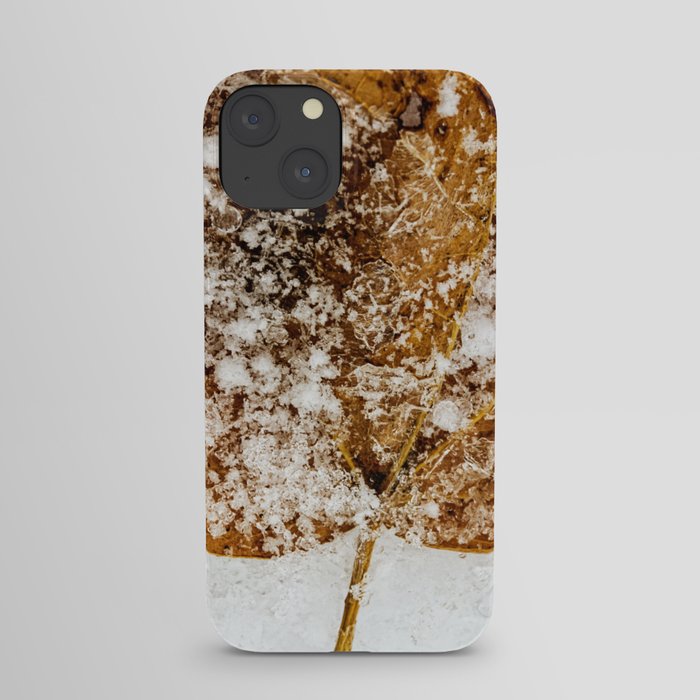 a little bit icy, a little bit snowy iPhone Case