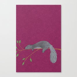 Napping Squirrel // berry pink background Canvas Print