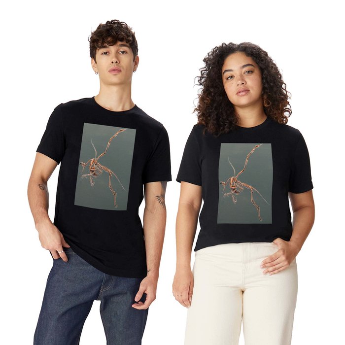 Gryphon Skeleton Anatomy No Labels T Shirt