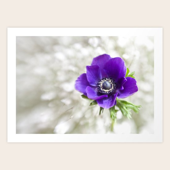 Spring Delight Art Print