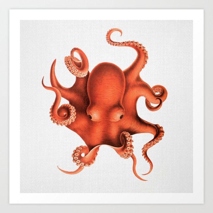 Octopus - Watercolor Art Print