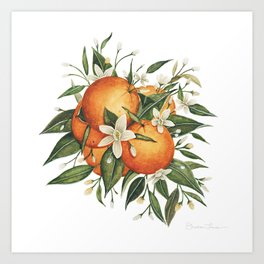 Orange Blossoms Art Print
