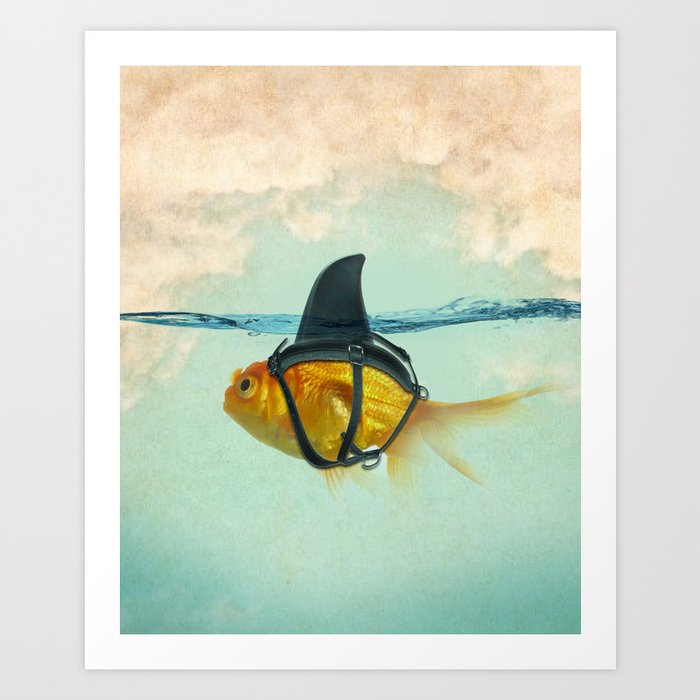Prints is Snapfish in Disguise