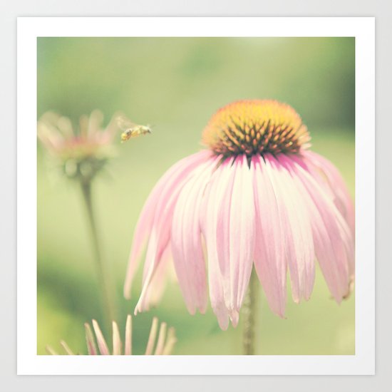 Little Honey Bee Art Print