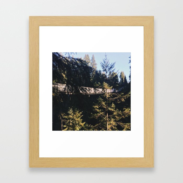 Up in the trees: Adventure is out there.  Framed Art Print