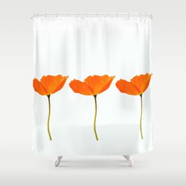 Three Orange Poppy Flowers White Background  Shower Curtain