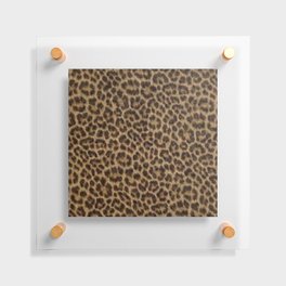 Leopard Floating Acrylic Print