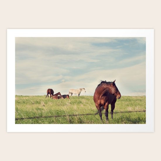 camera shy Art Print