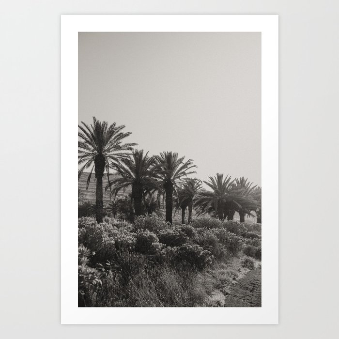 Lanzarote palm valley / palms palmtrees black - Art print Palm Stories Art Print