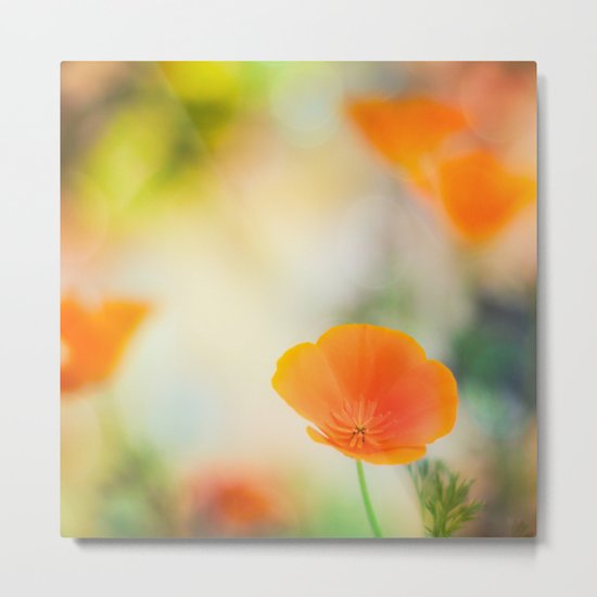 Poppy Rainbow Metal Print