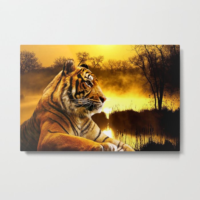 Tiger and Sunset Metal Print