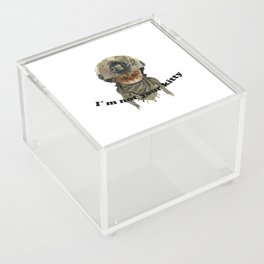 Soldier cat Acrylic Box