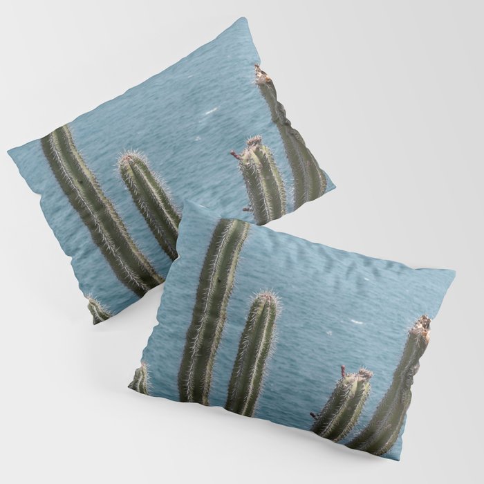 Mexico Photography - Cactuses At The Coast Of Mexico Pillow Sham